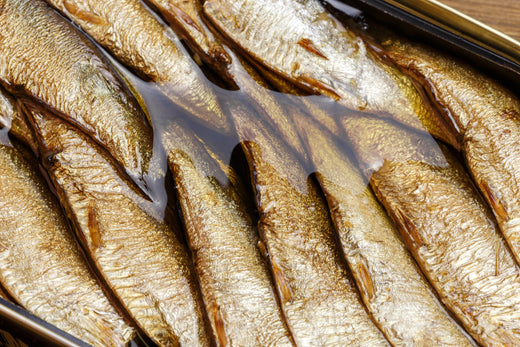 A Journey Through the World of Exquisite Canned Fish
