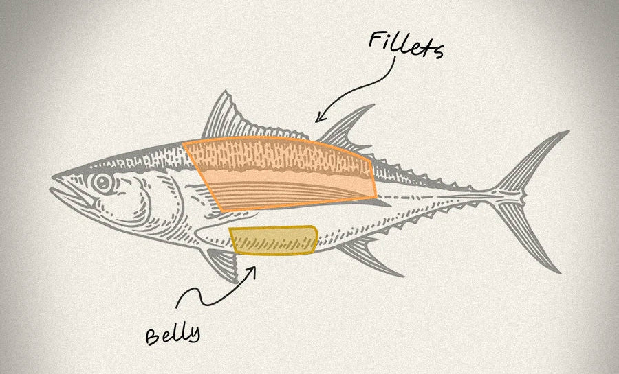 Tuna Fillets, Belly or Chunk?