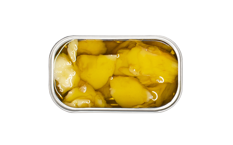 Inside an open tin of José Gourmet Codfish in Olive Oil and Garlic. The image displays premium, tender white codfish flakes submerged in a clear, golden extra virgin olive oil. This visual showcases the high-quality texture and traditional Portuguese preparation of this gourmet canned seafood.