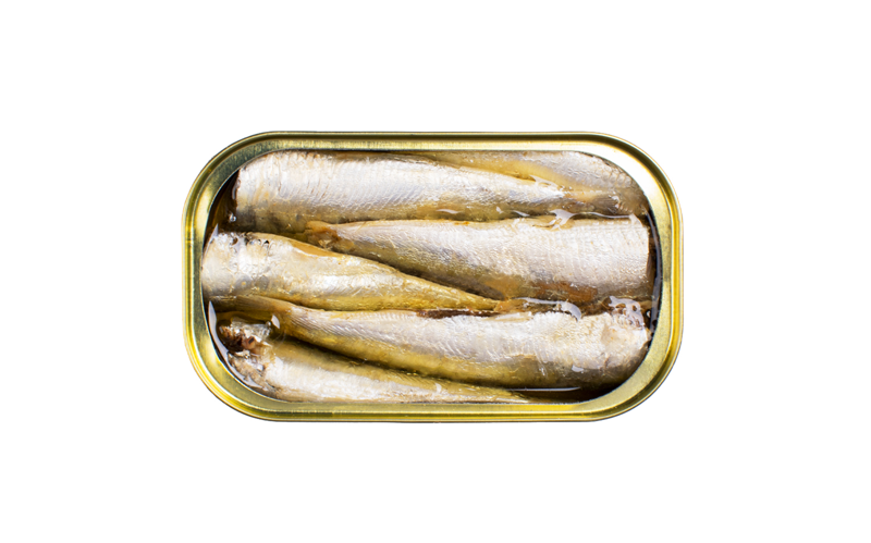 Inside an open tin of José Gourmet Smoked Small Sardines. Four premium sardines are perfectly arranged in extra virgin olive oil. The fish display a shimmering silver and golden skin, highlighting the artisanal cleaning and smoking process. High-quality Portuguese canned seafood ready to serve.