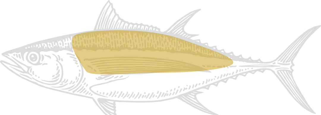 Monochrome illustration of tuna, highlighting the loin