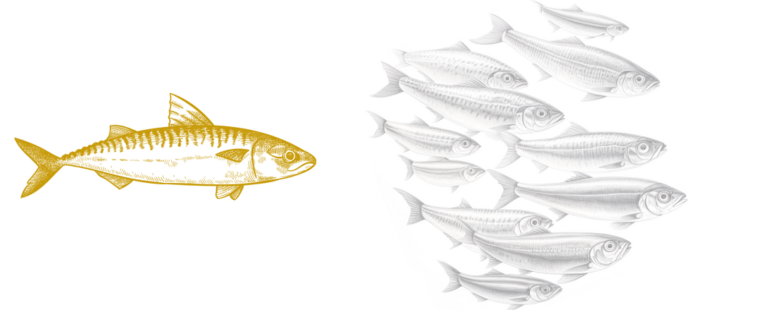 Mackerel monochrome illustration
