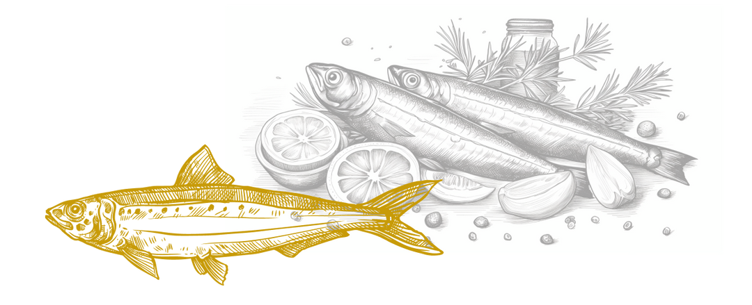 Monochrome illustration of a sardine